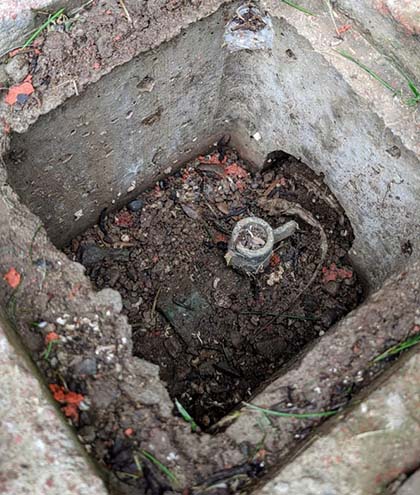 servicio profesional de destape